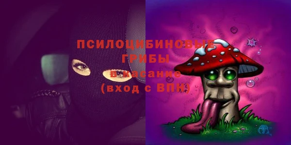 стаф Алексин