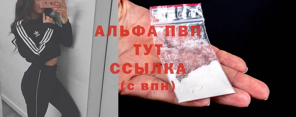 стаф Алексин