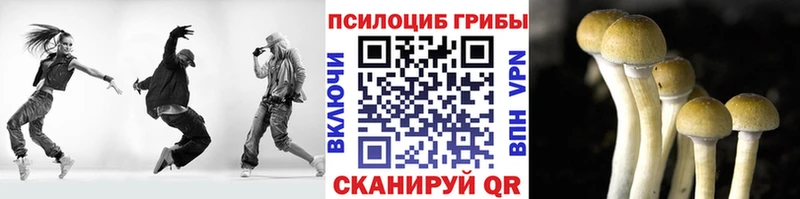 Галлюциногенные грибы GOLDEN TEACHER  Осинники 